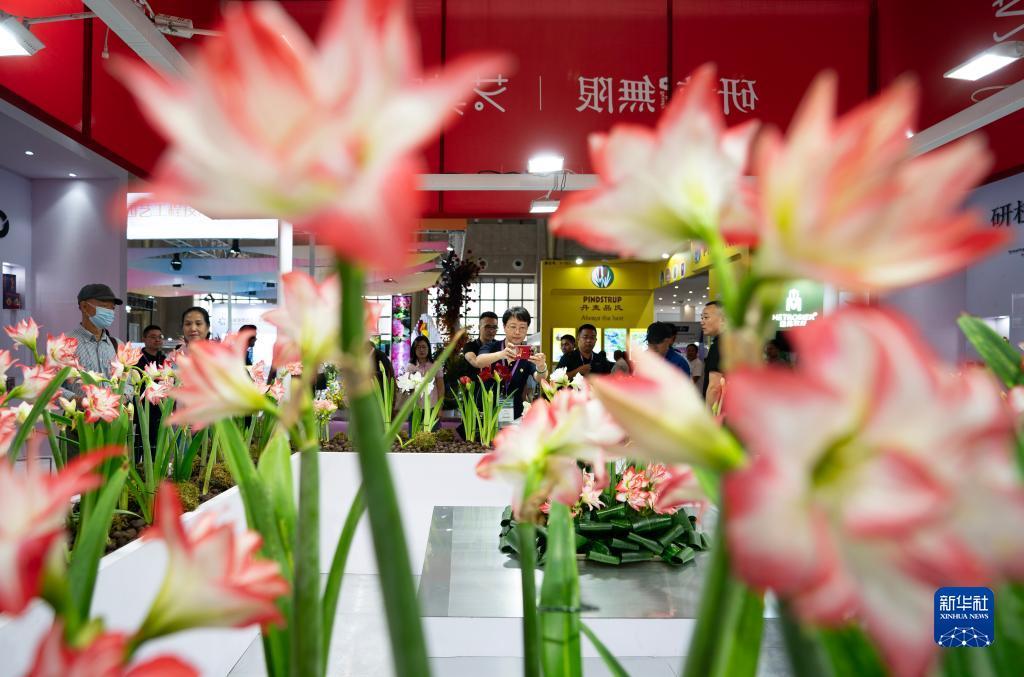 开户自助体验金888元